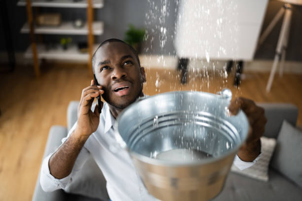 Best Sewage cleanup and water damage restoration  in Fordyce, AR