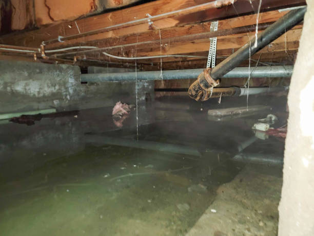 Reliable Fordyce, AR Water damage restoration Solutions