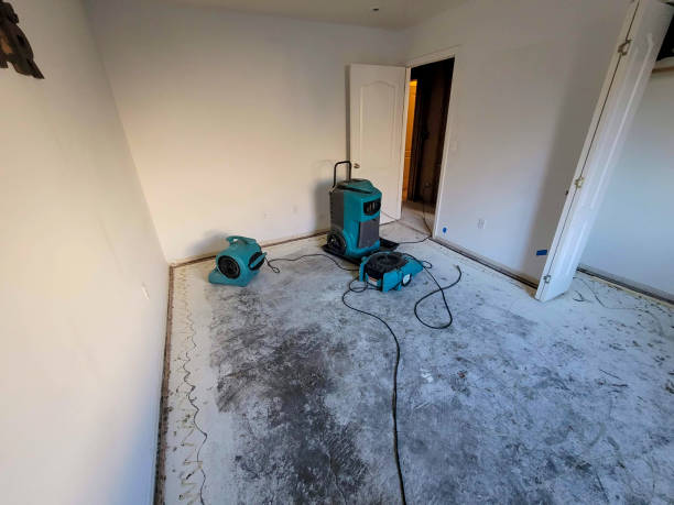 Best Carpet water damage restoration  in Fordyce, AR