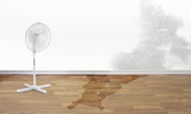 Best Residential water damage restoration  in Fordyce, AR