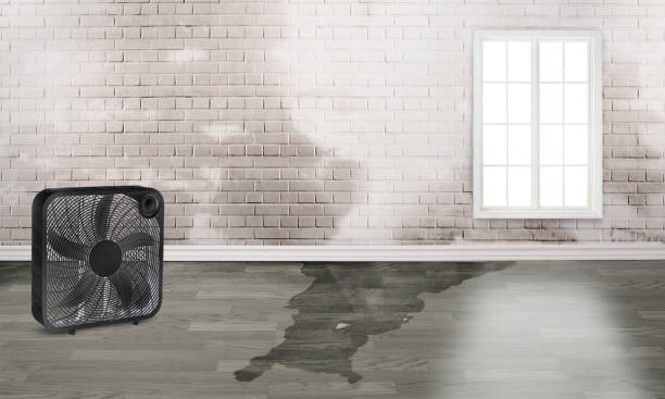 Best Ceiling water damage repair  in Fordyce, AR
