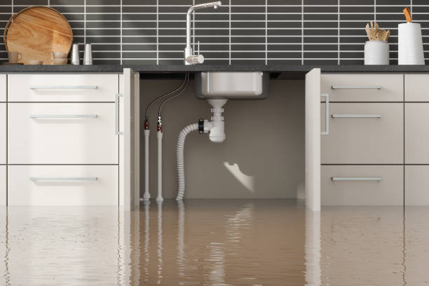 Best 24-hour water damage restoration  in Fordyce, AR